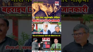 भेड़िया के आतंक का अंत बहराइच में आदमखोर भेड़िया मारा गया | #bhediya #shorts #viral #up