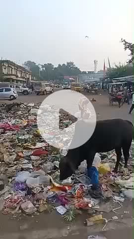 बगोदर बस स्टैंड का वीडियो है यहां यात्रियों को आने-जाने में बहुत परेशानियों के सामना करना पड़ता हैं तनिक ध्यान नहीं।