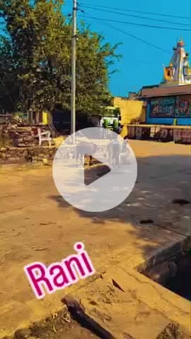 https://www.instagram.com/prakash_bhil_001_king?igsh=d2J1NndsemlqZ2Rq