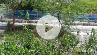 மதுரை வடக்கு: தொடர் மழை காரணமாக கடச்சநேந்தல் கண்மாய்க்கு நீர் வரத்து அதிகரிப்பு - தூர்வாரப்படாததால் தண்ணீர் செல்வதில் சிக்கல்