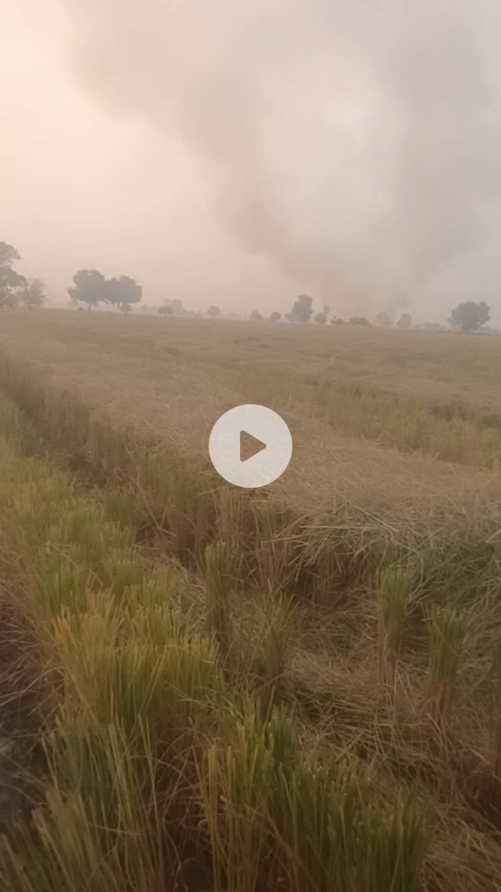 किसान सरेआम लग रहे हैं परली में आग  #news #city #pollution #haryana