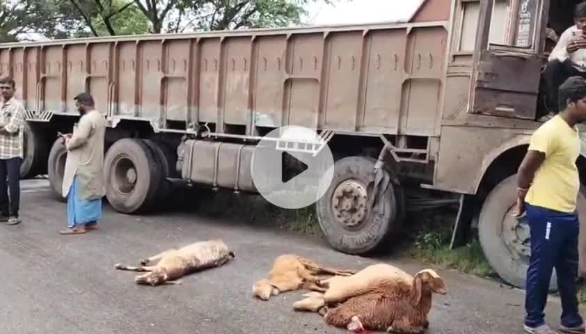 పాలకీడు: గూడుగుంట్ల పాలెం గ్రామ శివారులో గొర్రెల మీదికి దూసుకెళ్లిన లారీ