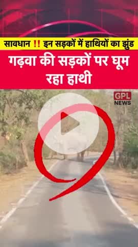 गढ़वा की सड़कों पर घूम रहा हाथी #GarhwaNews #ElephantAlert #JharkhandWildlife