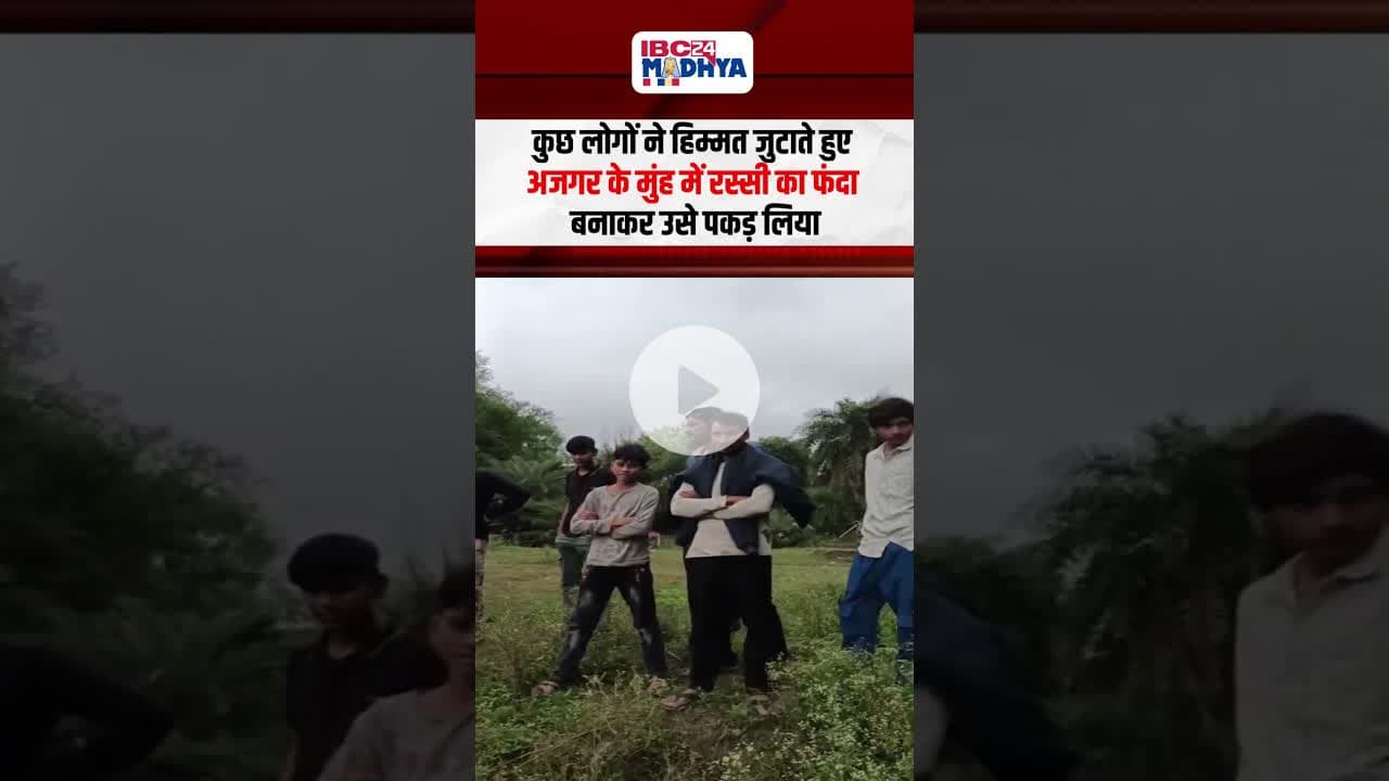 डेम पर दिखा विशाल अजगर, ग्रामीणों ने बहादुरी से पकड़ा, वन विभाग ने किया रेस्क्यू | #vidisha #python