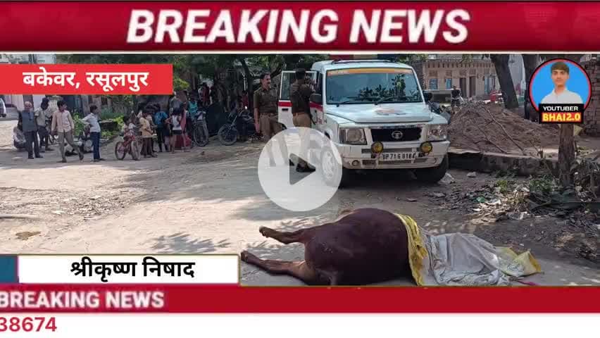 🚨 फतेहपुर: युवक ने गोवंश को पीट-पीटकर मार डाला, पुलिस जांच में जुटी! बकेवर से बड़ी खबर

#bakewar #बिंदकी