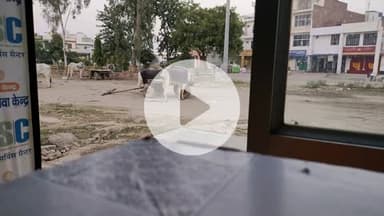nai anaj mandi me jan bujhkar dukano ke aage pashu bandhkar gandgi failate or swachh bharat abhiyan ki dhajjiya #hsvp