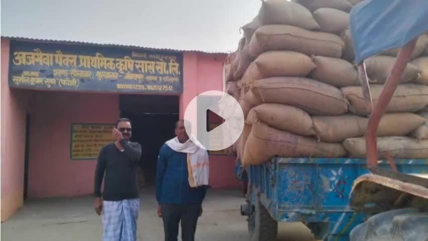 सौर बाज़ार: सौरबाजार में किसानों के धान की खरीद के लिए सरकार ने समय और मूल्य निर्धारित किया, ₹2389 प्रति क्विंटल