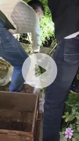 अजगर रेस्क्यू खंडार टीम वन विभाग द्वारा