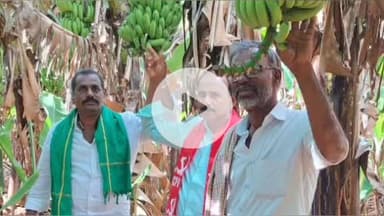 రాప్తాడు: బద్దలాపురంలో రైతు గోపాల్ అరటి తోటను పరిశీలించి రైతులను ఆదుకోవాలని  ఎమ్మార్వో కు వినిత పత్రం ఇచ్చిన రైతు సంఘం నేతలు.