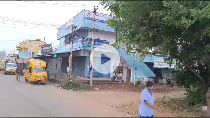 தஞ்சாவூர்: பன்றிகள் தொல்லை தாங்க முடியலை...நாஞ்சிக்கோட்டை மக்கள் கதறல்