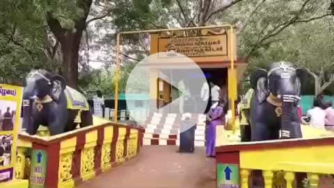 தென்காசி: தோரணமலை முருகன் ஆலய கிரிவலப் பாதை அமைக்கும் பணி துவக்கி வைத்த முதலமைச்சர்