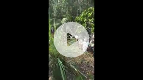 വെള്ളരിക്കുണ്ട്: മാലോം കാറ്റാംകവലയിൽ തീർത്ഥാടകർ സഞ്ചരിച്ച ബസ്മറിഞ്ഞ് നിരവധി പേർക്ക് പരിക്ക്