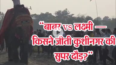 “कुशीनगर की हाथी,घोड़े की दौड़: बाबर घोड़ा और लक्ष्मी हाथी की धमाकेदार जीत”#dzonenews