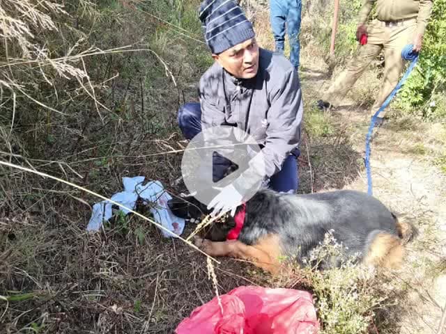 देवाल: देवाल के हाटकल्याणी के पास मिले नवजात के सिर के बाद डॉग स्क्वायड व पुलिस टीम ने घटना स्थल पर की सर्चिंग