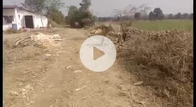 सिवनी: ग्राम ताखला में रोड ना बनने से ग्रामीण परेशान, सड़क बनवाने की उठाई मांग #jansamasya