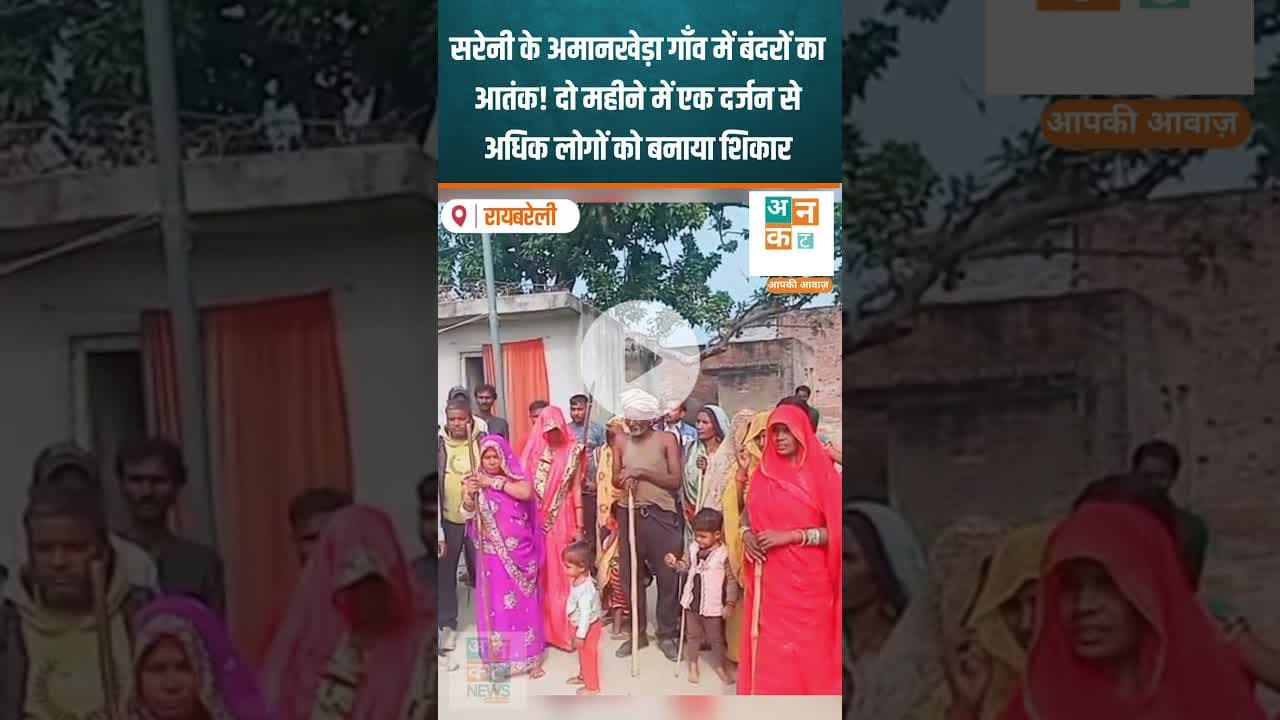 रायबरेली: सरेनी के अमानखेड़ा गाँव में बंदरों का आतंक #RaebareliNews #Sareni #MonkeyMenace