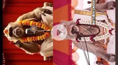 विश्व विख्यात आध्यात्मिक प्रवक्ता श्री बंदर महाराज जी कुरूद #tamesh #kurud