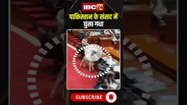 पाकिस्तान के संसद में घुसा गधा.. | Viral Video #Pakistan #Donkey #ViralVideos #FunnyVideos