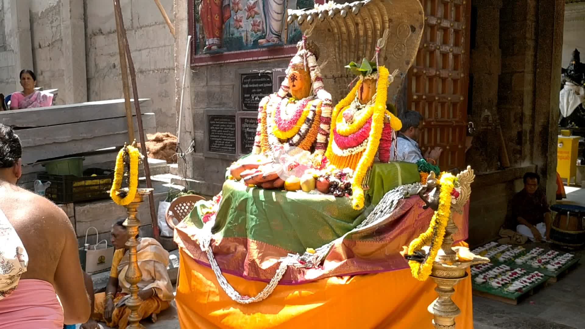 தருமபுரி: வாழப்பாடி: குமாரசாமிபேட்டை சிவசுப்ரமணியசுவாமி கோயிலில் பாம்பு  தீயணைப்புத்துறை மீட்பு..