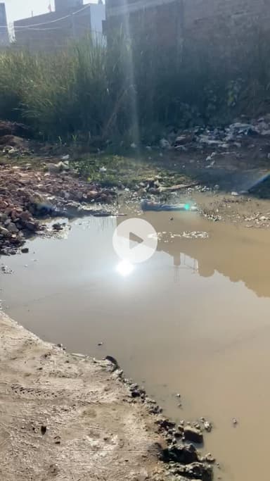 मुरैना के शिवनगर में जल भराव व वार्ड की मुख्य सड़क पर अतिक्रमड की समस्या से वार्ड क्रमांक 05 वाशियो को निकलने में अधिक परेशानी आ रही है !
 #मुरैना #शिवनगर #वार्ड05 #morena