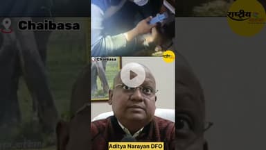 एक हाथी को आखिर कैसे बचाया गया रेस्क्यू करके देखिए#elephant #elephantrescue #viral #shortvideo#reels