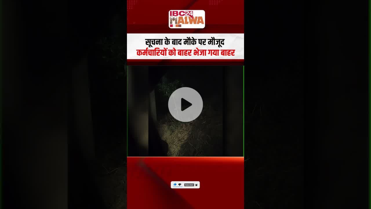 नगर निगम ट्रेचिंग ग्राउंड में नजर आया तेंदुए का मुवमेंट, घूमता मिला तेंदुआ | #indore #mp #panther