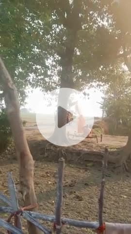 12.12.2025 लाही, मधुबन, पूर्वी चंपारण,845420 के विडियो । अच्छा लगे तो लाईक कर दें ।