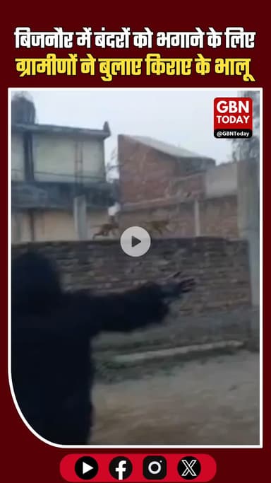 बिजनौर में बंदरों को भगाने के लिए ग्रामीणों ने बुलाए किराए के भालू #Bijnor #Monkeys #AnimalControl #VillageLife