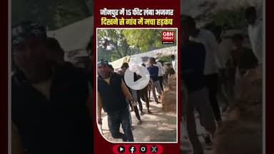 जौनपुर के केराकत में 15 फीट लंबा अजगर दिखने से गांव में दहशत #Jaunpur #Kerakat #Python #Ajgar