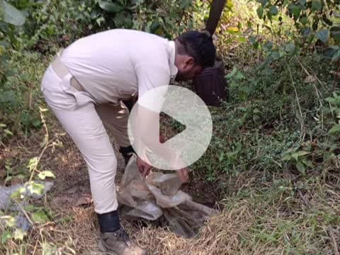 ସୁନ୍ଦରଗଡ ସହର: ଗୁରୁଣ୍ଡିଆ: ବଡ଼ଗାଁ ଏକ୍ସସାଇଜ ଷ୍ଟେସନ ଓଆଇସି ଓ ତାଙ୍କ ଟିମଙ୍କ କରେଇବଗା ଜଙ୍ଗଲରେ ଅବକାରୀ ଚଢାଉ, ଘଟଣା ସ୍ଥଳରେ 4 ଶହ ଲିଟର ମଦ ଓ 34 ଶହ କେଜି ପୋଚ ନଷ୍ଟ