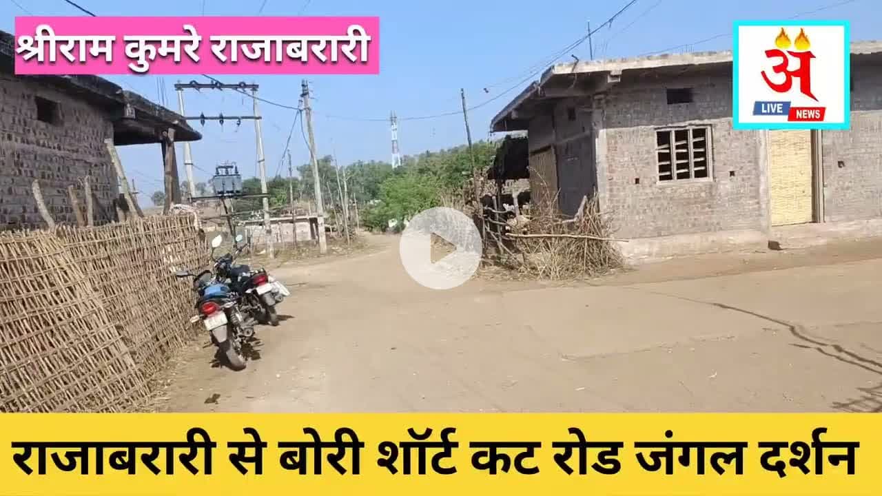#rajabarari2bori जंगल में मंगल पक्की सड़क से आवागमन सहज। #shriramkumre