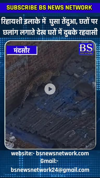 रिहायशी इलाके में  घुसा तेंदुआ, छतों पर 
छलांग लगाते देख घरों में दुबके रहवासी
#mandsor #mandsornews #bsnewsnetwork