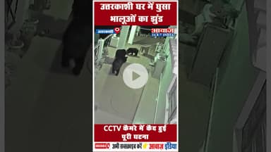 उत्तरकाशी घर में घुसा भालूओं का झुंड, CCTV कैमरे में कैद हुई पूरी घटना  #BearAttack #CCTVFootage