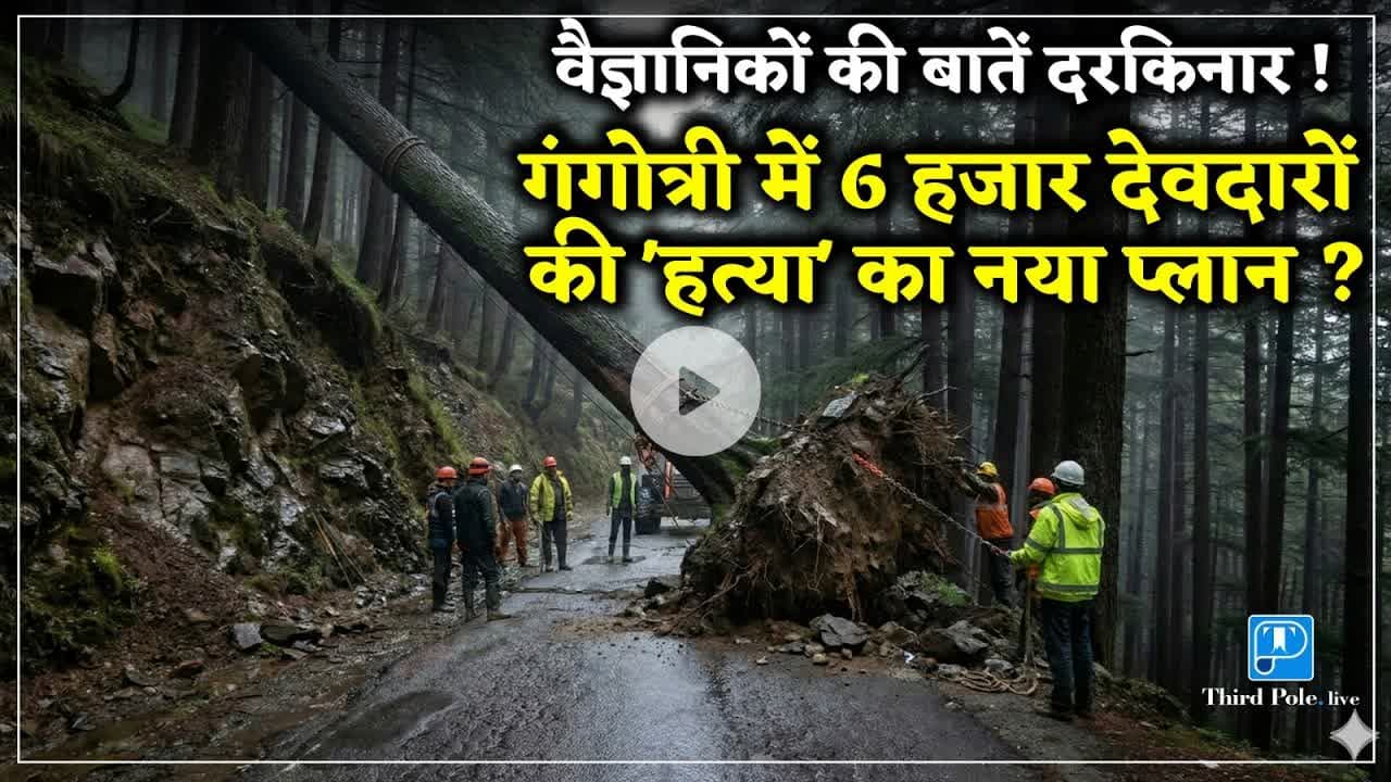 #Gangotri घाटी को तबाह करने का प्लान "बी" तैयार | @thirdpolelive #himalayas #climatechange