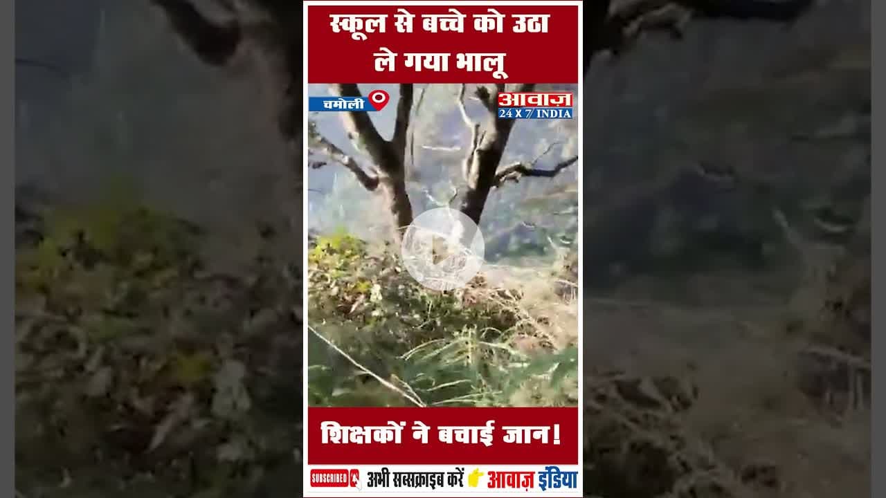 स्कूल से बच्चे को उठा ले गया भालू शिक्षकों ने बचाई जान! #BearAttack #uttarakhandsarkar #vanvibhag