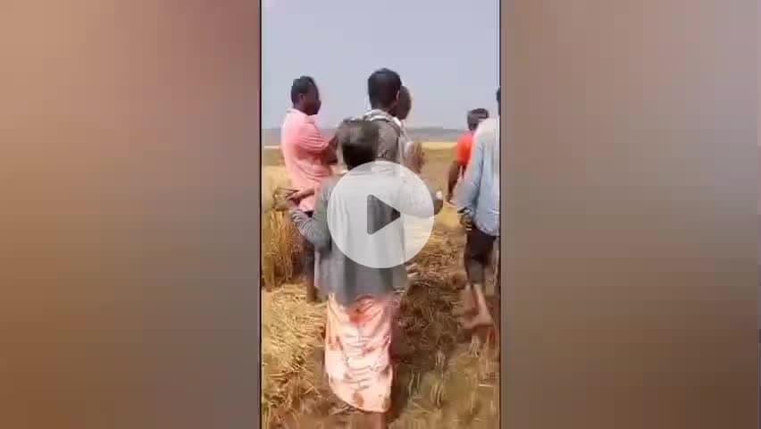 ಕೃಷ್ಣರಾಜನಗರ: ಭತ್ತ ಕಟಾವು ಮಾಡಲು ಅಡ್ಡಿ: ಕಗ್ಗೆರೆ ಗ್ರಾಮದ ಕಾಮೇನಹಳ್ಳಿಯಲ್ಲಿ ಜಮೀನು ವಿಚಾರವಾಗಿ ಗಲಾಟೆ