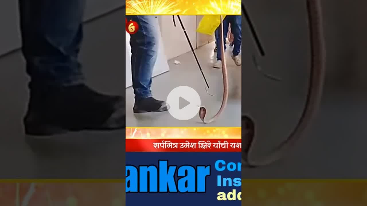 उपजिल्हा रुग्णालयात निघाला साप