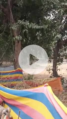 ग्राम आमगाछी पोस्ट बिशनपुर थाना रंगा जिला साहेबगंज के रहने वाले एक युवक ने की 8 कुते का बच्चे के बेरहम से की मोत