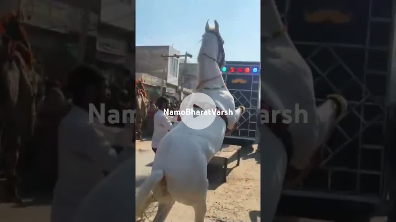 बावलिया बाबा निशान शोभायात्रा #viral #jhunjhunu #bawaliyababa