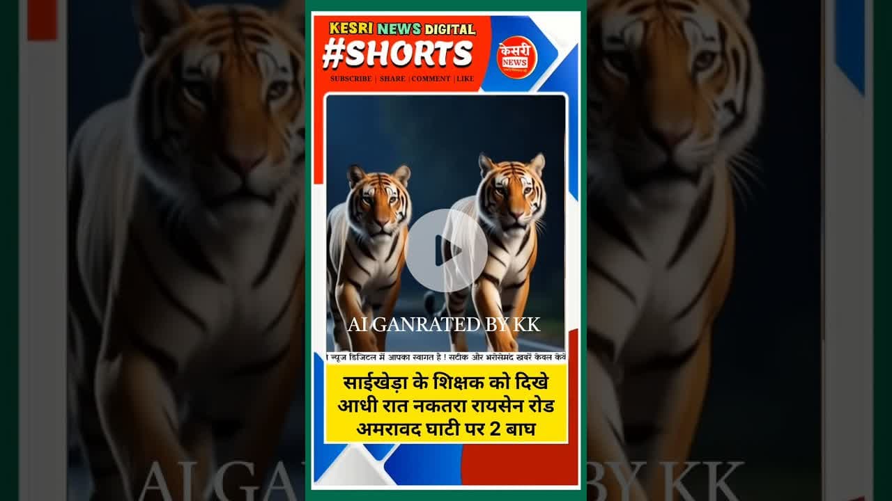 “रुको… रुको… रुको आधी रात सड़क पर अचानक दिखे दो बाघ!” #shorts #shortsyoutube #bts #kesrinews #mpnews