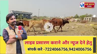 सिंगाजी धाम गौ भक्त की गाय सुनती है पुकार
#viral #news #shortvideos #trand #viralvideos #latestnew