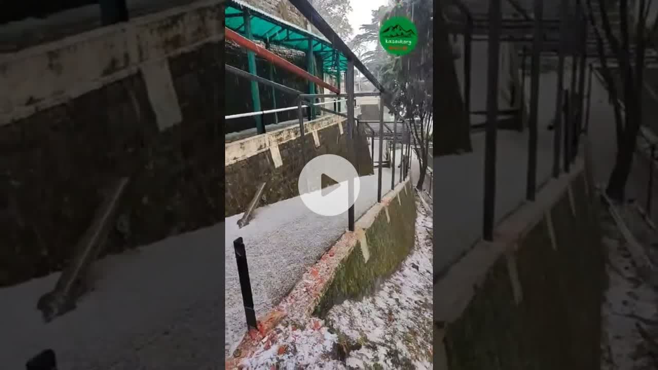 कसौली मे 2026 की पहली ओलावृष्टि #kasoli #solan #kasolihills #snow #snowfall #snowday #newyear2026