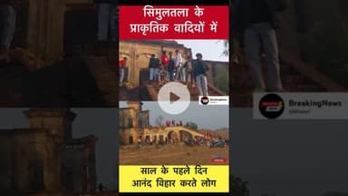 सिमुलतला के प्राकृतिक वादियों में पिकनिक करते लोग #trending #1stjanuary #newyear #simultala #picnic