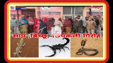 सांप ,बिच्छू, छिपकली गि#रोह की महि#लाओं को पुलिस ने दबोचा