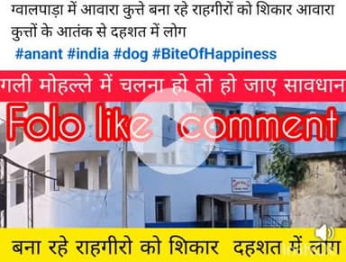 ग्वालपाड़ा में आवारा कुत्ते बना रहे राहगीरों को शिकार आवारा कुत्तों के आतंक से दहशत में लोग
#anant #india #dog #BiteOfH