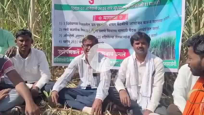 घनसावंगी: घनसावंगी येथील उसाच्या शेतात शेतकऱ्याचं बेमुदत आमरण उपोषण: एफ आर पी रक्कम एकरकमी देण्याची मागणी