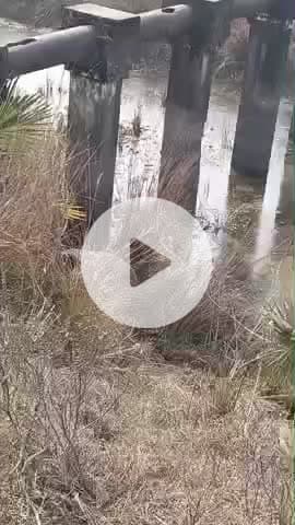 पता तानपुरा रोड। टाइम लगभग 2:00