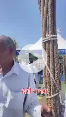 18 Feet Ka Bajra #amazing #viral #video #rajasthan