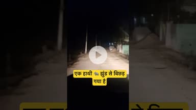 एक हाथी 🐘 झुंड से भटक गया है,हज़ारीबाग़ के आस पास लोग सतर्क रहे #joharhazaribagh #hathiraja