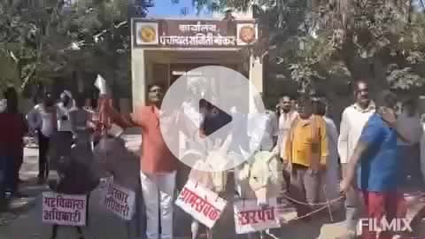 भोकर: भ्रष्टाचार विरोधात सोमठाणा येथील तक्रारदाराने भोकर पंचायत समितीवर काढला गाढव मोर्चा, मोर्चाचा व्हीडिओ व्हायरल